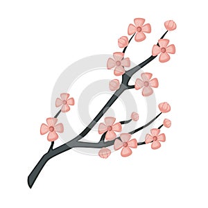 Sakura branch spring cherry blossom isolated Japanese symbol