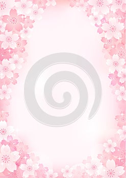 Sakura Cherry blossom background