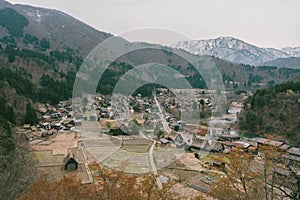 Sakura Cherry blossom branch with Shirakawago village background in spring season