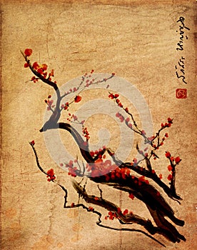 Sakura, cherry blossom plum chinese brush painting