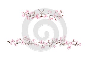 Sakura or Cherry Blossom Twigs Arranged in Border Line Vector Illustration