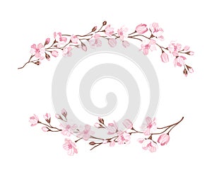 Sakura or Cherry Blossom Twigs Arranged in Border Line Vector Illustration