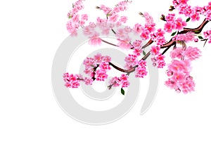 Sakura. Cherry branches with purple flowers flutter in the wind. Focused and not. illustration