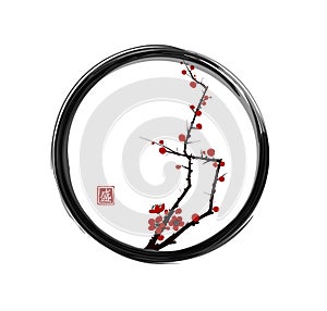Sakura cherry tree blossom in enso zen circle. Traditional oriental ink painting sumi-e, u-sin, go-hua. Hieroglyph -