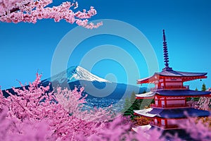 Sakura at the Churito Red Pagoda View of Mount Fuji and Yamanashi in Japan.