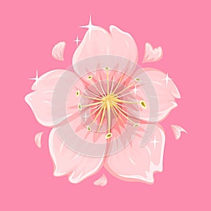 Sakura Flower Mascot Illustraton Vector Illustration Vector