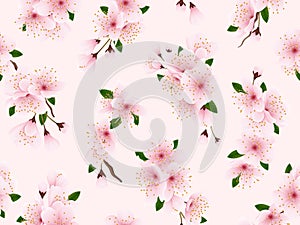 Sakura flower pattern. Japan pink spring cherry blossom on pink background, romantic backdrop with cherry branch
