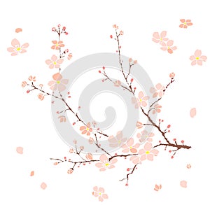 Sakura flower for printing on paper.