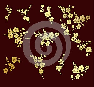 Sakura flower for printing on paper.