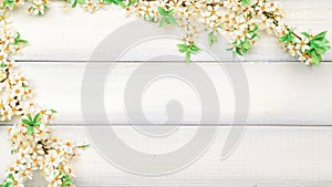 Sakura flower spring blossom and April floral nature on wooden background. Banner for 8 march, Happy Easter with place