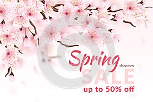 Sakura flower spring sale. Cherry blossom botanical design, illustration frame with price and special tags. Romantic