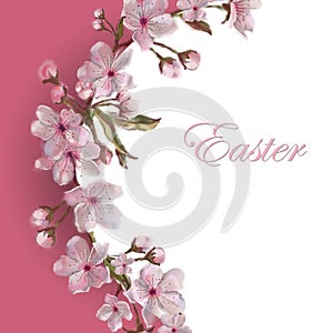 Sakura Flower Wreath Template. Copy Space Isolated on White. Apple/Almond/Cherry Blooms. Easter, Mother`s Day, Valentine, wed