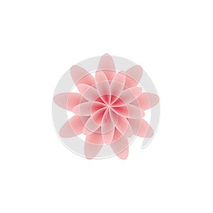 Sakura flowers icon , cherry blossom vector