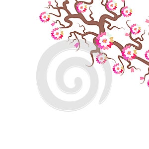 Sakura flowers Nature background with blossom branch of pink flowers. Cherry tree brown branches japanese card banner design paste