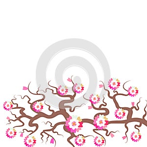 Sakura flowers Nature background with blossom branch of pink flowers. Cherry tree brown branches japanese card banner design pas