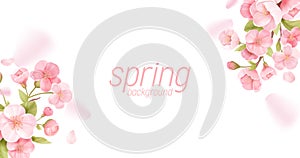 Sakura flowers realistic floral banner. Cherry blossom vector greeting card design. Spring flower illustration