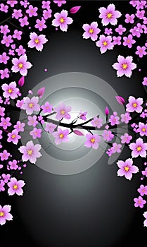 sakura flowers in spring season for background