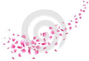 Sakura flying petals. Flowers design. Flowers petals. Isolated on white background. Petals Roses Flowers. illustration