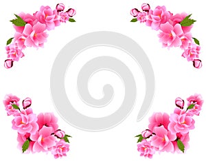 Sakura on four sides. Bouquets of cherry blossoms with purple flowers and buds. illustration