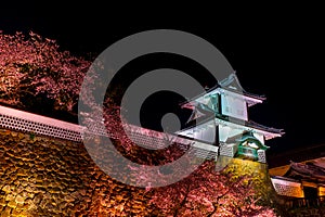 Sakura in front castle turn to red color at night sky background and white Kanazawa castle, castle light up at night time , dark n