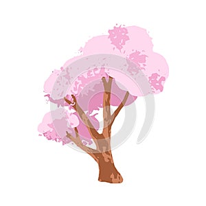 Sakura, Japanese cherry blossom tree. Asian floral plant, oriental sacura blooms on branches, trunk. Gorgeous spring