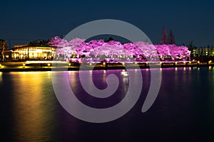 Sakura light up near lake in front in Tenmon-Kyo Fugan Unga Kansui Park, Toyama skyline in Japan