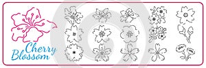 Sakura line icons set. Linear Japanese cherry blossom symbols isolated on a white background. Spring vector illustration