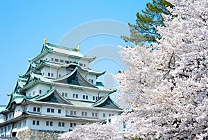 Sakura Nagoya Castle