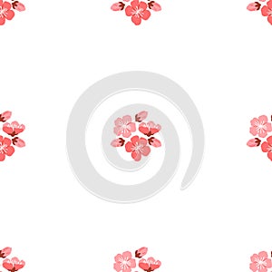 Sakura pattern. The continual blooming sakura flowers represented continuous cycle life