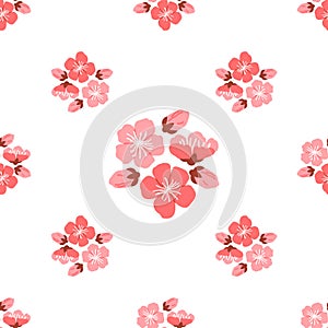 Sakura pattern. The sakura pattern concept conveyed symbolism blossoming and renewal