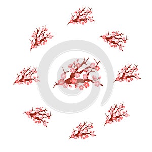 Sakura pattern. The sakura pattern on seamless background created serene atmosphere