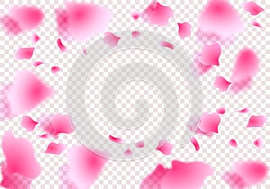 Sakura petals, roses in a circle in perspective with shadow. On a transparent background. illustration