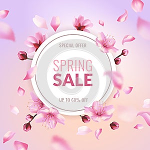 Sakura sale. Spring discount, pink cherry blossom flowers and flying petals, floral decor for web japanese voucher and