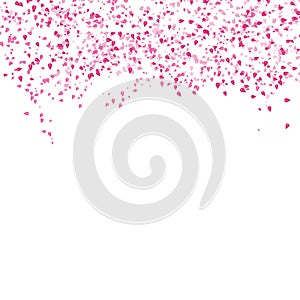 Sakura scatter pink leaves falling concept on white abstract background textured nature photo
