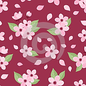 Sakura seamless pattern with flowers, buds and leaves on dark pink background. Vector