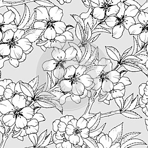 685 Sakura, ornament for wallpaper and fabrics, wrapping paper, background for different designs, scrapbooking
