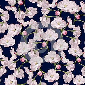 Sakura. Seamless pattern. Pink Cherry blossom branches. Spring botanical illustration.