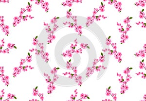 Sakura seamless. Small Bouquets of cherry blossoms with buds. Industrial Design. illustration