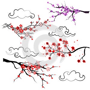 Sakura. Set of spring realistic blooming tree branch with red an