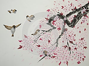 Sakura and sparrows