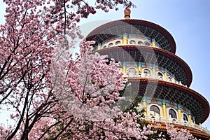 Sakura, temple and blue sky