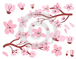 Sakura tree branch and flowers set. Floral composition. Japanese cherry blossom simple elements collection isolated on white