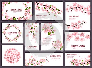 Sakura vector blossom cherry greeting cards with spring pink blooming flowers illustration japanese set of wedding photo