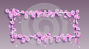 Sakura on a white frame and gradient background. Place for advertisement, announcement. Cherry branches with delicate