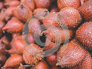 Sala or Salacca zalacca tropical fruits.