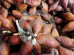 Salacca fruit