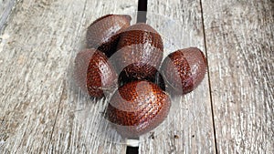 Salacca tree and fruit, Snakefruit - Asia Indonesia