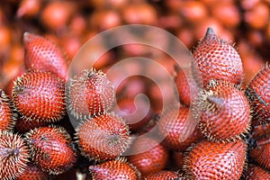 Salacca wallichiana is asia fruit at fruit market