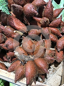 Salacca zalacca or Snake fruit.