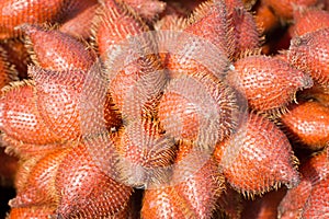 Salacca zalacca, sweet and red sour tropical fruit in fruit stall, Thailand